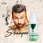 شامبو ويلنس النعناع لعلاج قشرة الشعر 500مل